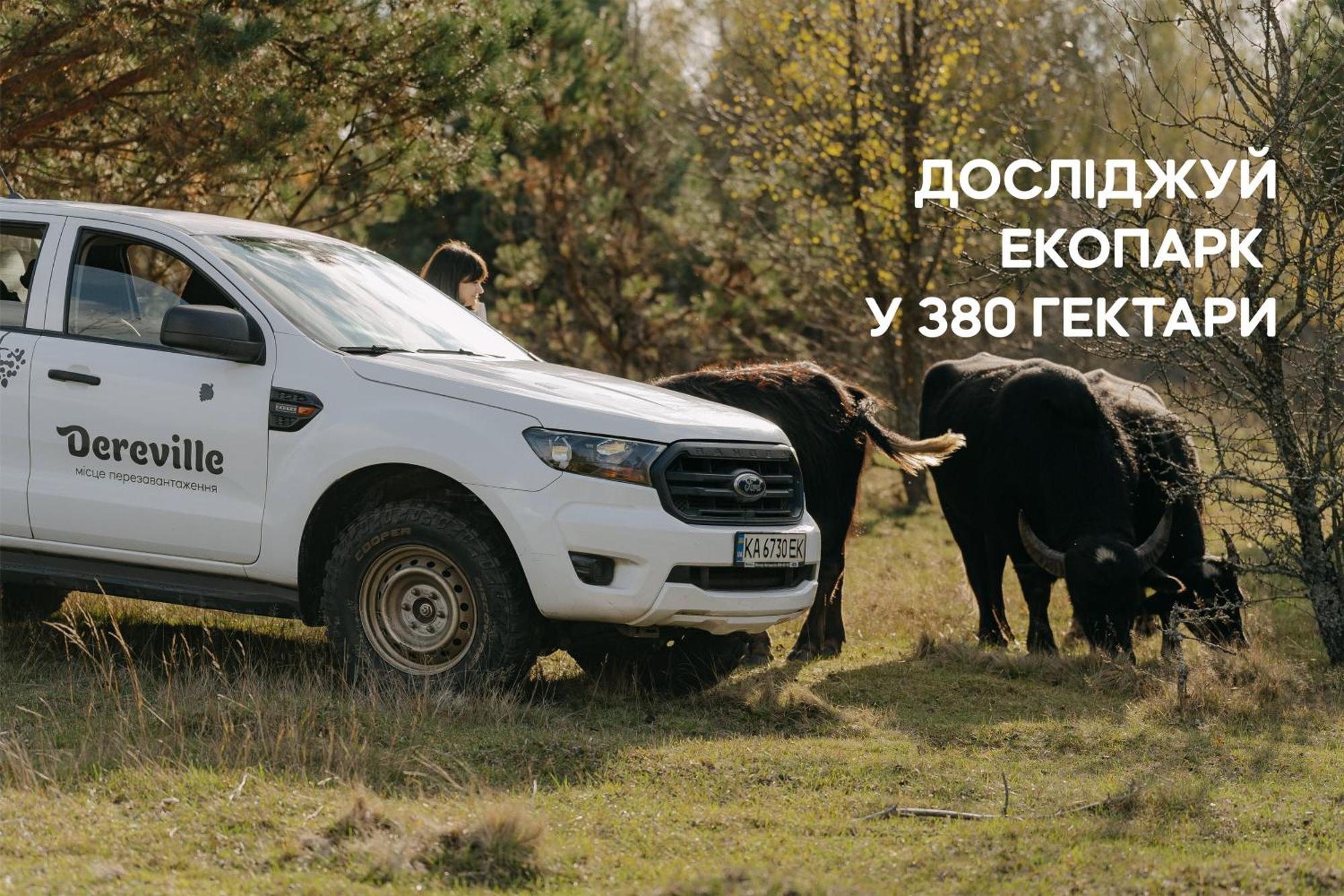 Dereville Sokolovka Pokój zdjęcie